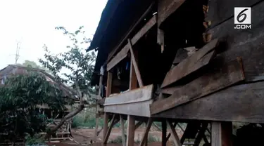 Empat ekor gajah mengamuk di Dusun Talang Bambu, Sumatera Selatan. Akibatnya satu rumah hancur dan tiga lainnya rusak ringan.