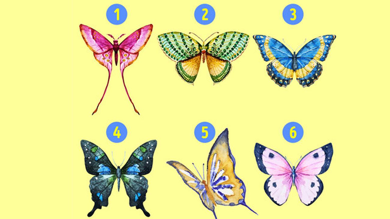 Pilih Satu Kupu-Kupu Favorit, Pilihanmu Ungkap Sisi Tersembunyi Dirimu