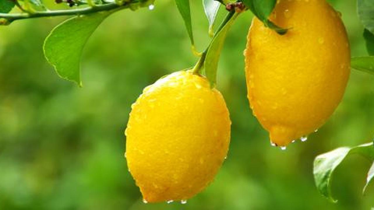 Tips menghilangkan komedo dengan lemon