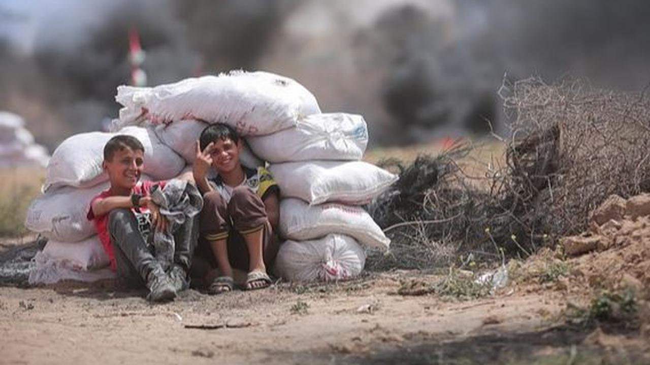 Puisi Tentang Palestina: Palestina, Negeri Duka