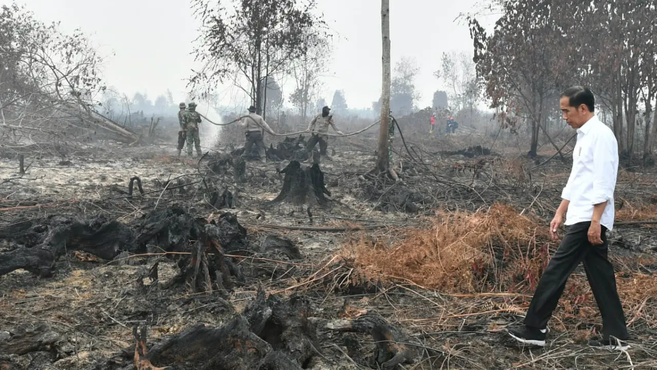 Presiden Jokowi meninjau lokasi kebakaran hutan di Riau. (foto: Biro Pers Setpres)
