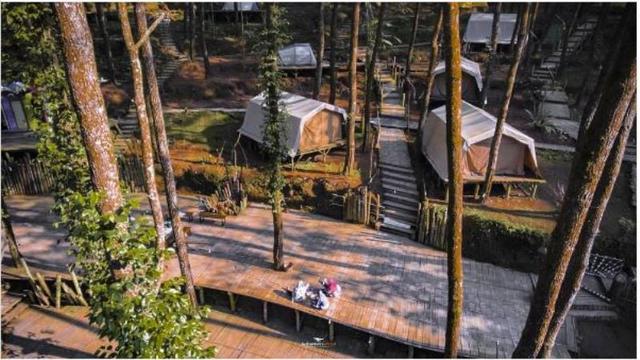 Disebut Berlokasi di Ujung Dunia’, Glamping di Borobudur Kini Jadi Tempat Healing Populer