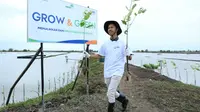 Lewat Program BRI Menanam - Grow and Green, BRI memulihkan dan melestarikan ekosistem.