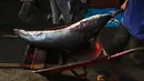 Seorang pria membawa hiu perontok dengan sirip telah terpotong di sebuah tempat pelelangan ikan di Banda Aceh, Aceh, Kamis (13/6/2019). Di Aceh, hiu masih menjadi buruan utama nelayan karena harganya yang tinggi, terutama bagian sirip yang laku dijual hingga ke luar negeri. (Chaideer MAHYUDDIN/AFP)