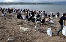 FOTO: Aksi Bersama Membersihkan Sampah di Pantai Kedonganan Bali