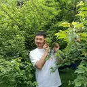 Laporan Liputan6.com dari Wakayama Jepang: Bertandang ke Kebun Plum