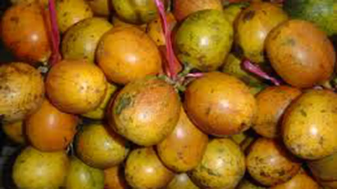 Buah markisa