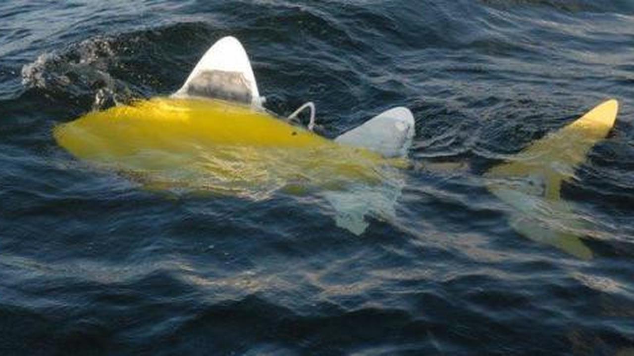 Robofish, ikan robot pendeteksi polusi air
