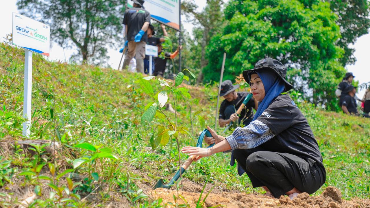 Aksi Nyata Kelompok Tani Mantan Penambang Pulihkan Hutan Melalui BRImenanam Grow & Green