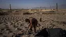 Buruh Afghanistan bekerja di sebuah pabrik batu bata di Deh Sabz, di pinggiran Kabul, Afghanistan, Minggu (26/9/2021). Buruh biasanya menghasilkan sekitar Rp 125 ribu per harinya. (AP Photo/Bernat Armangue)