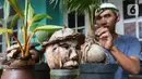 Bonsai batok kelapa yang dibentuk kepala manusia oleh pengrajin tanaman, Herman Ronda di Jalan Salak, Pamulang, Tangerang Selatan, Senin (13/10/2020). Perawatan bonsai batok kelapa sangatlah mudah, hanya disiram dengan air garam dan ditempatkan pada suhu yang lembab. (Liputan6.com/Fery Pradolo)