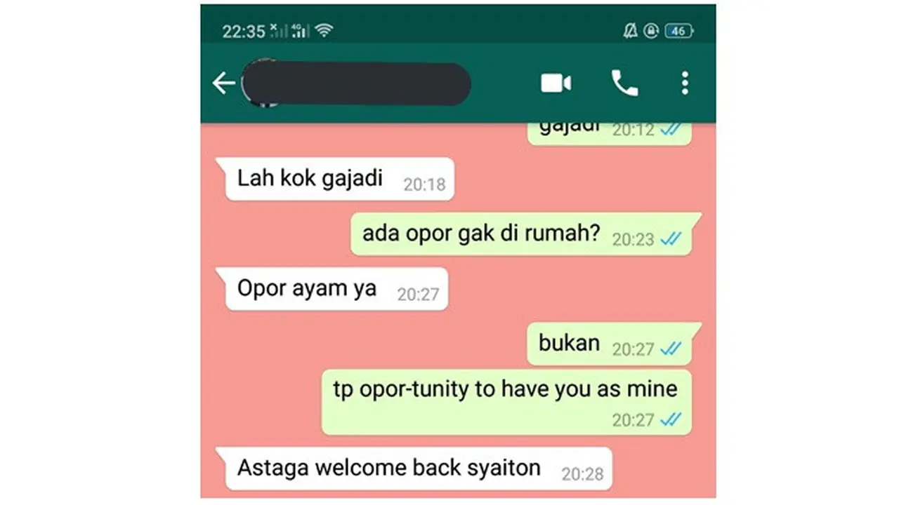 Cara Ngegombal Ala Netizen Pakai Opor Ayam ini Bikin Tepok Jidat