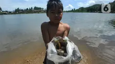Seorang anak memperlihatkan kerang hasil pencarian di kawasan Situ Rawa Gede, Sirnajaya, Bogor, Jumat (6/1/2023). Mengisi waktu libur sekolah, mereka membantu orang tuanya dengan mengumpulkan kerang yang dijual sebesar Rp 5ribu per kg. (merdeka.com/ Arie Basuki)