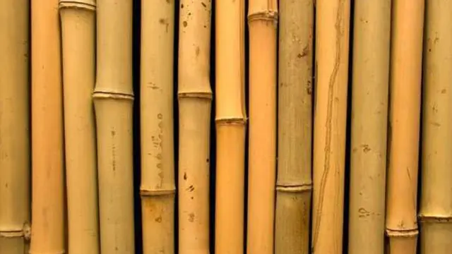 Bambu untuk bangun rumah (Foto: Arsitag)