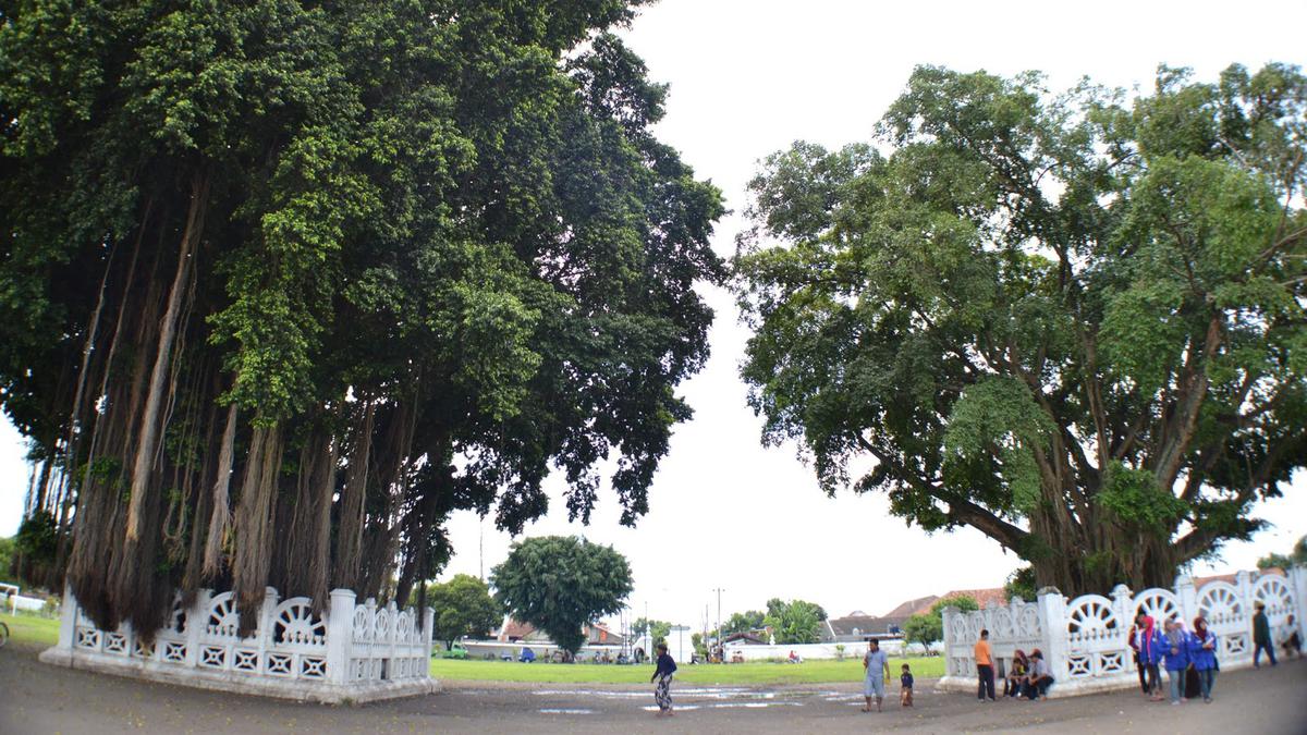 16 Rekomendasi Tempat Makan Enak Sekitar Alun‑Alun Kidul Jogja 2025, Tradisional &amp; Kekinian