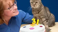 Kucing ini kini berusia 31 tahun atau jika dalam usia manusia setidaknya berusia 141 tahun.