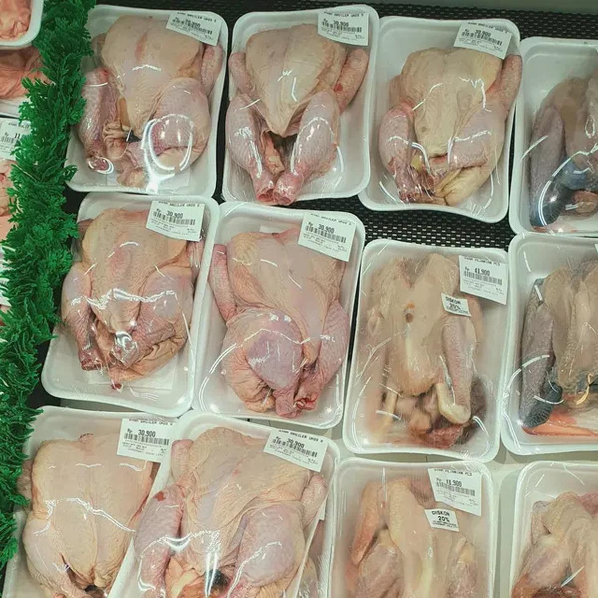 Rahasia Mencairkan Daging Ayam Beku Tanpa Air dan Microwave