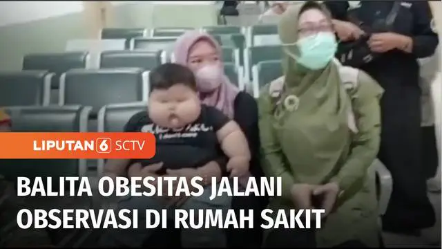 VIDEO: Bayi Berusia 16 Bulan yang Alami Obesitas Berbobot 27 Kg Jalani Observasi