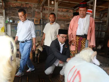 Bakal calon Gubernur Jakarta, Ridwan Kamil didampingi tokoh Betawi, Bang Idin saat melakukan blusukan ke Pasar Kambing Tanah Abang, Jakarta Pusat, Minggu (15/9/2024). (merdeka.com/Arie Basuki)