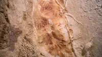 Lukisan gua berusia 40 ribu tahun ditemukan di Indonesia (Kinez Riza)