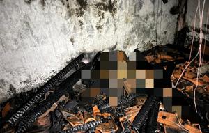 WNA asal Jerman, Helene Vera Otto (92), tewas terpanggang dalam kebakaran rumah di Kabupaten Pesisir Barat, Lampung. (Istimewa).