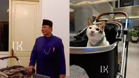 7 Potret Bobby Kucing Prabowo di Pelantikan Presiden, Jadi Penghuni Istana