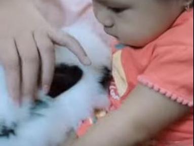 Ameena Hanna  Nur Atta, tanpa takut mengelus kelinci milik Amora. Akhirnya Aurel pun membelikan binatang yang sama untuk sang putri. (Foto: YouTube)