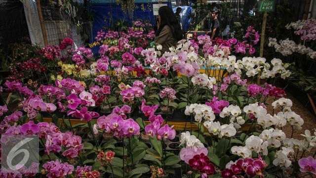 20 Persen Tanaman Dunia Terancam Punah Ini Penyebabnya