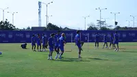 Prediksi Persib vs Arema FC: Menanti Racikan Igor Tolic