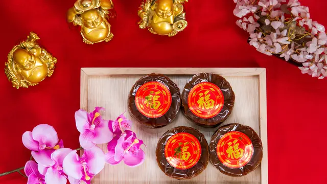 ilustrasi makanan tradisi imlek/Rizvisual/shutterstock