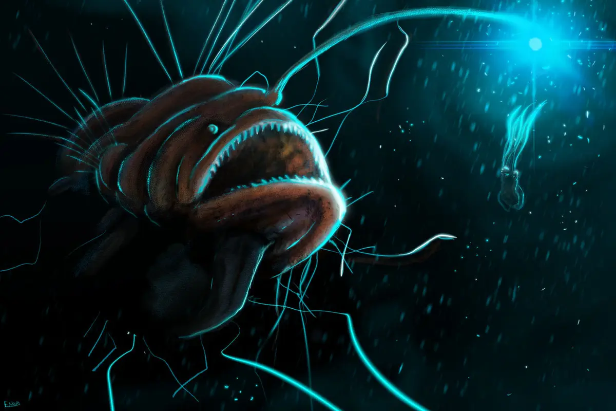 Sejarah Spesies Anglerfish