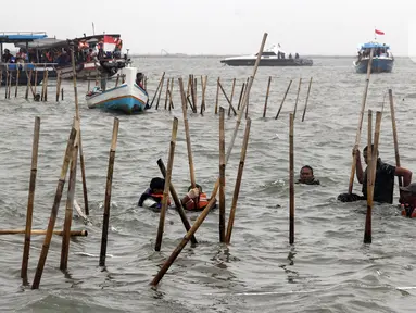 Personel gabungan dari unsur TNI AL, Kementerian Kelautan dan Perikanan, Pemerintah Daerah serta nelayan setempat melakukan pembongkaran pagar laut di kawasan Tanjung Pasir, Tangerang, Banten, Rabu (22/1/2024). (Magang/Liputan6.com/Muhammad Rizal)