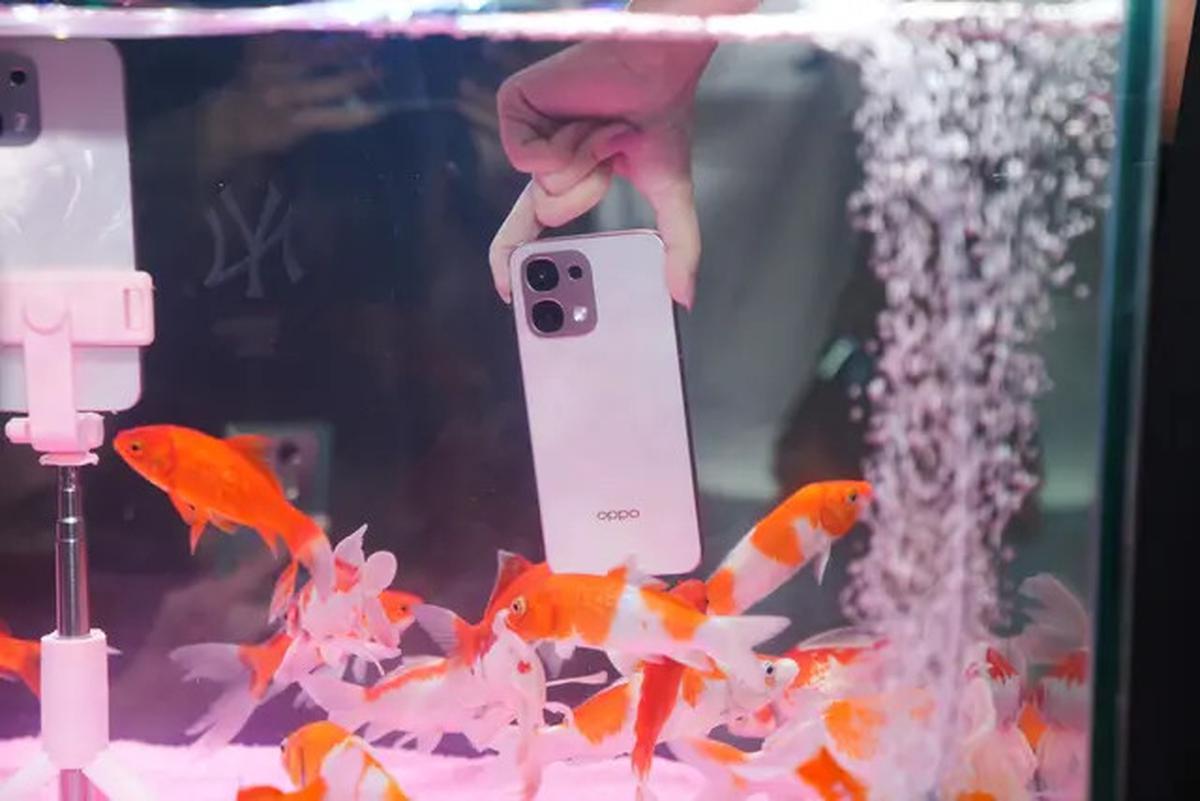 Ini Spesifikasi Beserta Harga Oppo A6 Pro 4G dan Oppo A6 Pro 5G di Indonesia