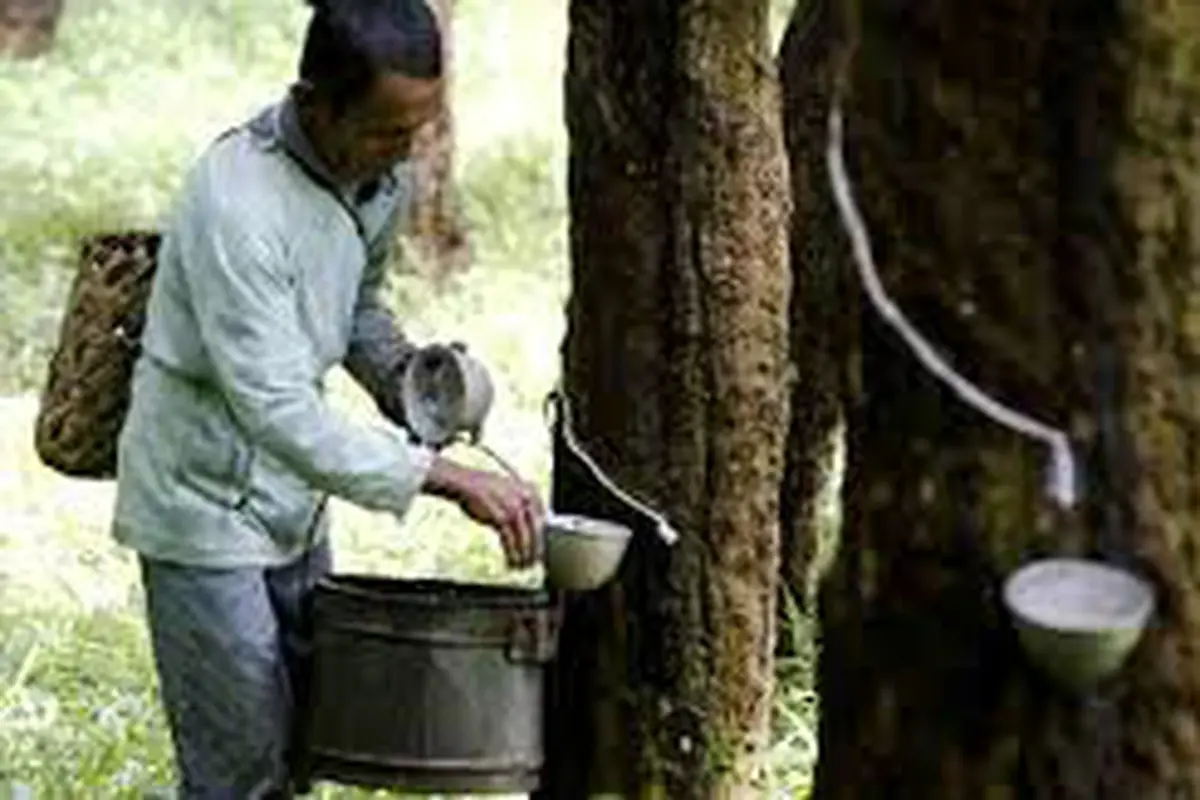 Industri Karet Alam Kembali Sumringah Tahun Depan