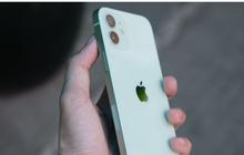 Cek Harga Iphone 11 Series Tahun 2025, Pahami Review dan Panduan Pembelian Terbaik