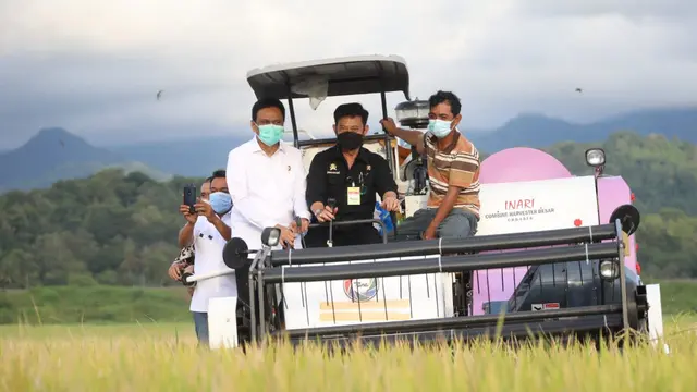 Sentra Padi