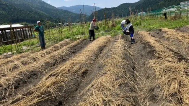 Inisiatif Keberlanjutan Hotel Anyar di Jepang, Buka Kebun Teh dan Sayur Sendiri