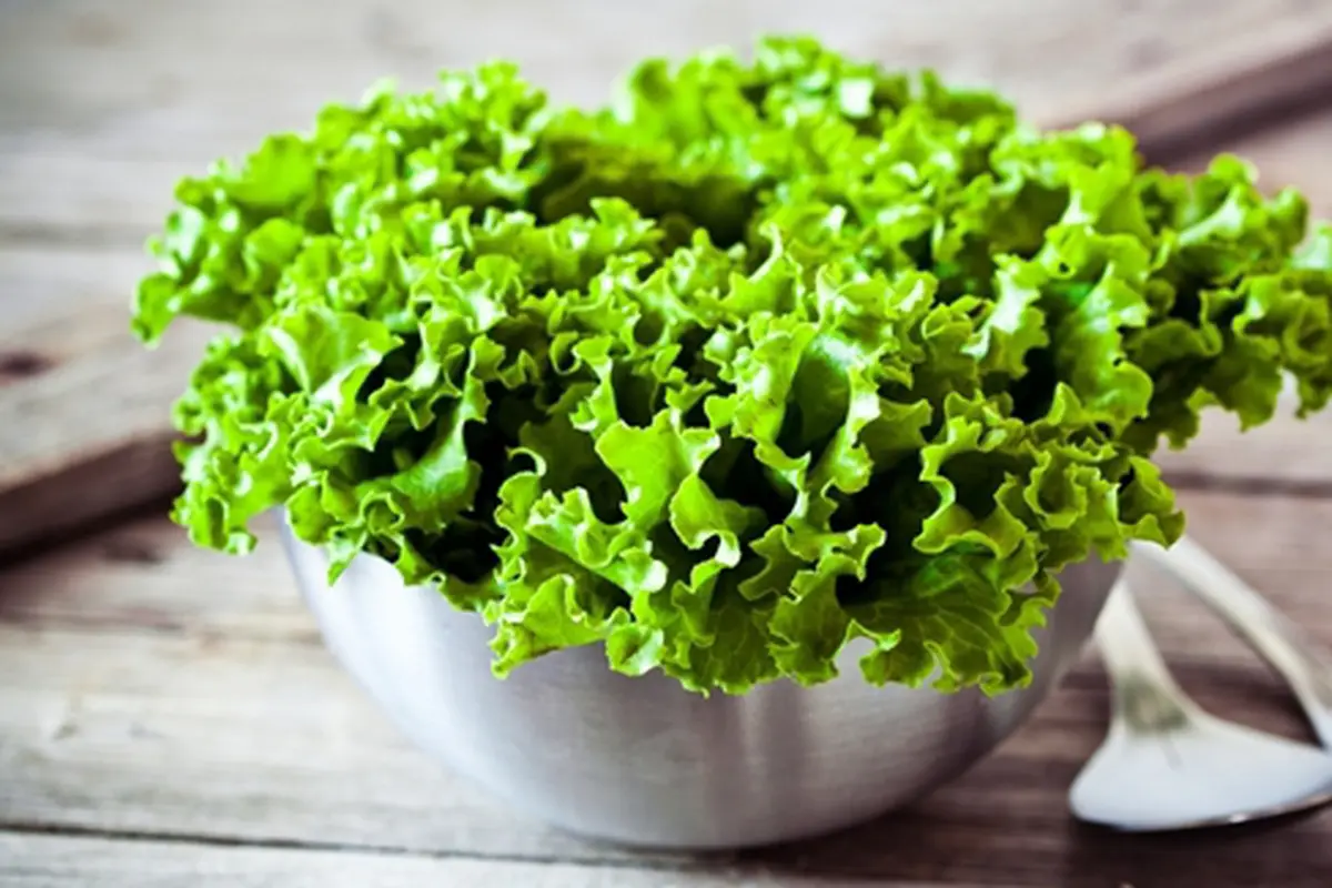 Foto: Copyright ShutterStock.com