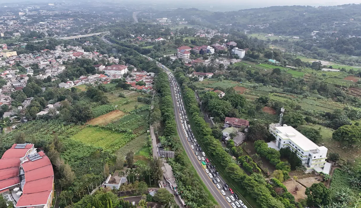 Foto udara antrean kendaraan menuju kawasan Puncak di sekitar Simpang Gadog, Bogor, Jawa Barat, Sabtu (28/6/2025). (merdeka.com/Arie Basuki)