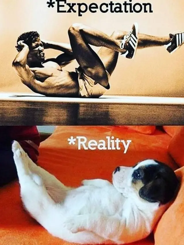 6 Meme Kocak Orang Rutin Jalani Gym Ini Bikin Tepuk Jidat