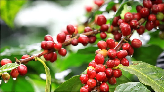 Courtesy ShutterStock.com