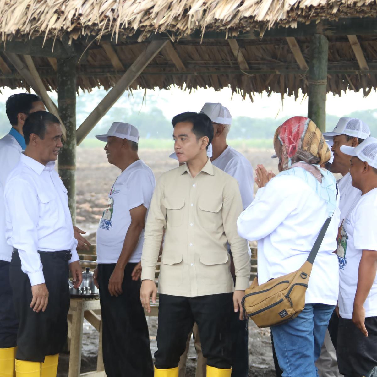 Kejar Terget Swasembada Gula 2027, Wapres Gibran-Mentan Amran Totalitas Dukung Petani