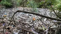 Kondisi sungai di daerah Jimbaran, Bali, yang dipenuhi sampah sebelum kegiatan bersih-bersih sungai digelar Sungai Watch dan IKEA Indonesia, Minggu, 15 Mei 2022. (dok. IKEA Indonesia)