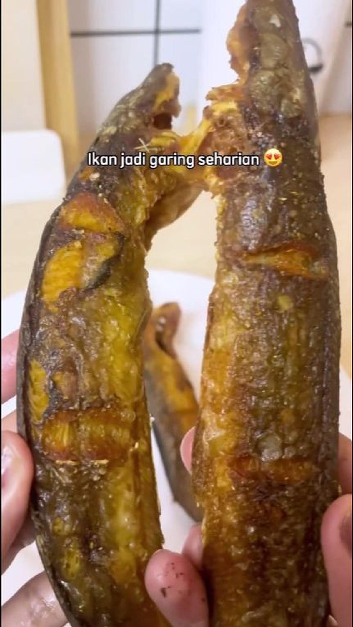 Lele Goreng Jadi Garing Seharian