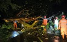BPBD Nganjuk Imbau Warga Waspada Cuaca Ekstrem, Potensi Angin Kencang dan Pohon Tumbang