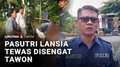 Sepasang suami istri di Jembrana meninggal dunia akibat diserang kawanan tawon. Di tubuh dan wajah kedua korban didapati banyak bekas sengatan tawon.