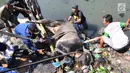 Petugas pemadam kebakaran bersama warga mengevakuasi seekor sapi yang tercebur ke Kali Mberok, Kota Semarang, Sabtu (10/8/2019). Butuh sekitar 3 jam mengevakuasi sapi untuk kurban tersebut hingga mau dimasukkan ke mobil. (Lipuan6.com/Gholib)