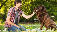 The surprising benefits of having a dog at home. (Photo: Freepik)