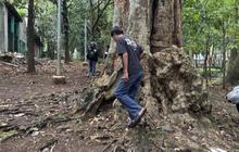 Viral Berburu Koin Jagat, Menteri PPPA Ingatkan Masyarakat Tak Gampang Percaya