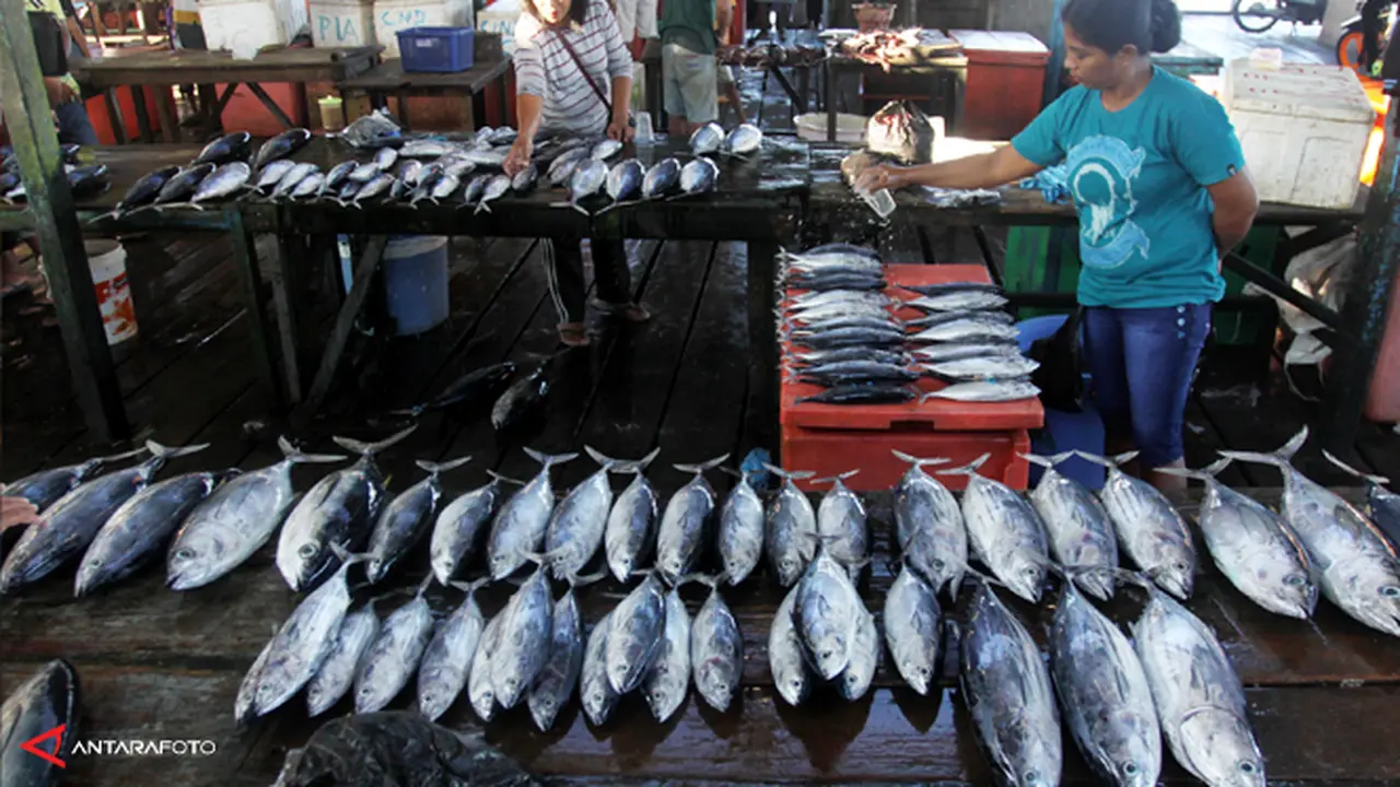 stok-ikan-perikanan-130701b.jpg